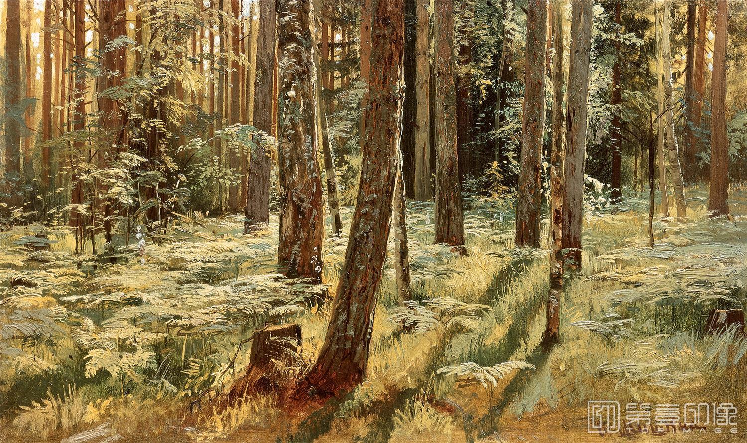 油画-伊凡·伊凡诺维奇·希施金 Ivan Shishkin作品集-58